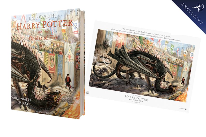 Cover of Harry Potter and the Order of the Phoenix — Illustrated Paperback (United Kingdom)