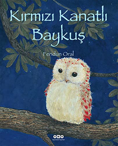 Cover of Harry Potter and the Deathly Hallows — Yapı Kredi (Original) (Turkey)